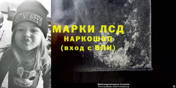 гашик Аркадак