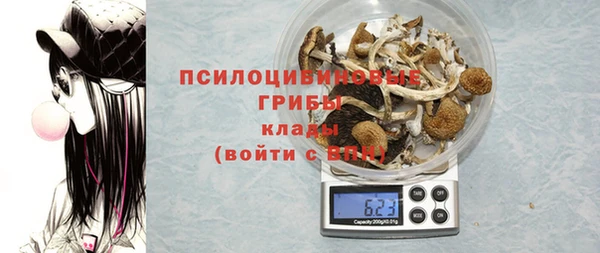 молекула духа Балахна