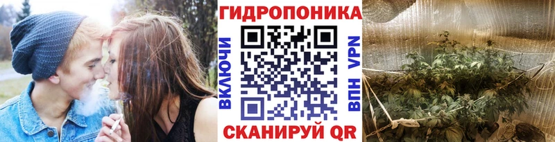 Каннабис семена Узловая
